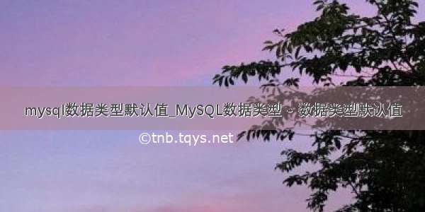 mysql数据类型默认值_MySQL数据类型 - 数据类型默认值