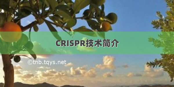 CRISPR技术简介