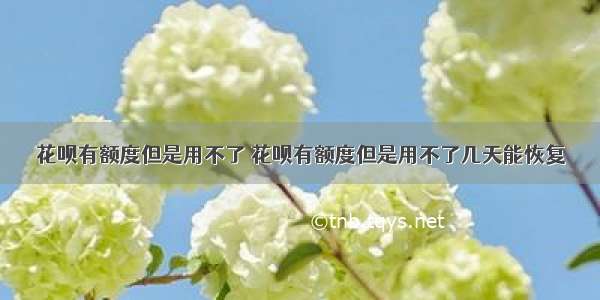 花呗有额度但是用不了 花呗有额度但是用不了几天能恢复