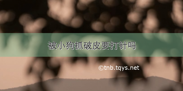 被小狗抓破皮要打针吗