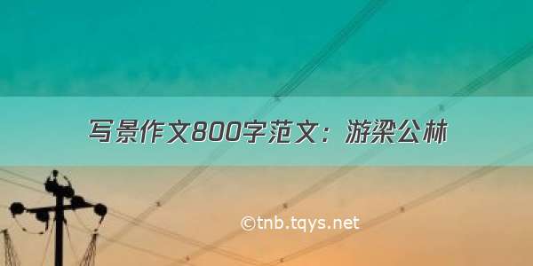 写景作文800字范文：游梁公林