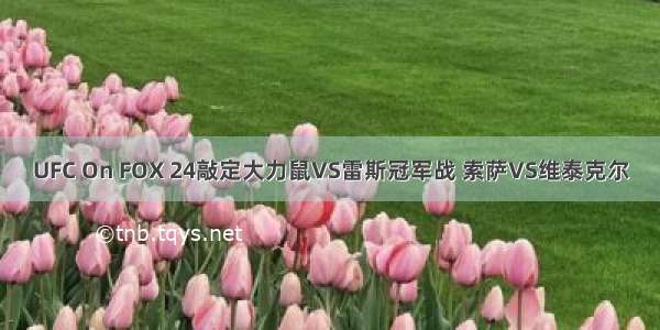 UFC On FOX 24敲定大力鼠VS雷斯冠军战 索萨VS维泰克尔