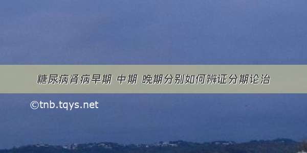 糖尿病肾病早期 中期 晚期分别如何辨证分期论治