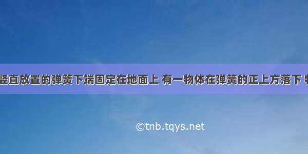 如图所示 竖直放置的弹簧下端固定在地面上 有一物体在弹簧的正上方落下 物体在和弹