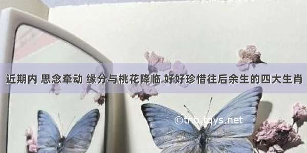 近期内 思念牵动 缘分与桃花降临 好好珍惜往后余生的四大生肖