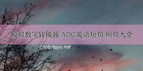 模拟数字转换器 ADC英语短句 例句大全