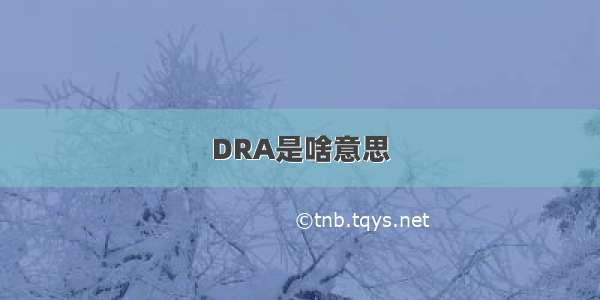 DRA是啥意思