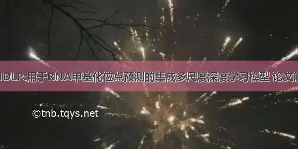 EMDLP:用于RNA甲基化位点预测的集成多尺度深度学习模型 论文解读