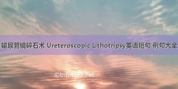 输尿管镜碎石术 Ureteroscopic Lithotripsy英语短句 例句大全