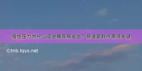 慢性压力为什么促进糖尿病发生？肠道菌群作用很关键