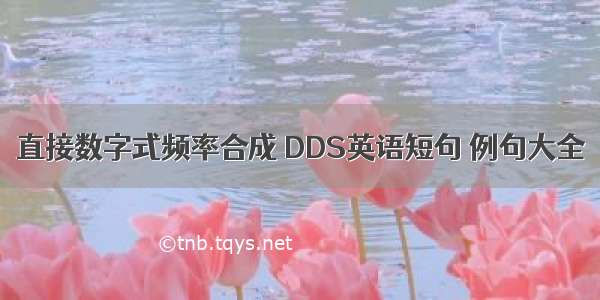 直接数字式频率合成 DDS英语短句 例句大全