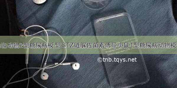 啮齿动物2型糖尿病模型 STZ链脲佐菌素诱导小鼠1型糖尿病动物模型