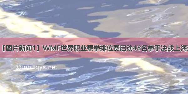 【图片新闻1】WMF世界职业泰拳排位赛启动48名拳手决战上海滩