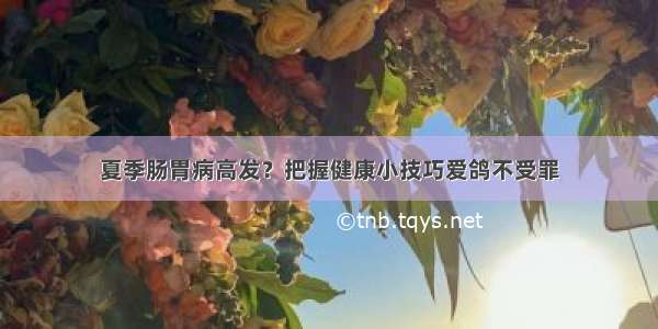 夏季肠胃病高发？把握健康小技巧爱鸽不受罪