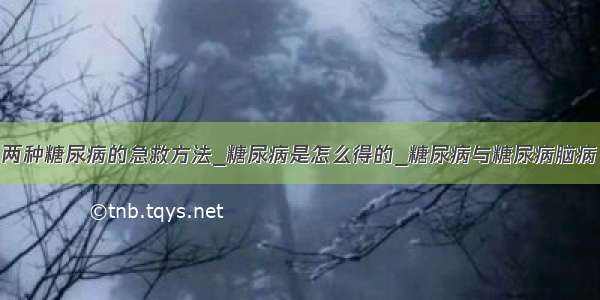 两种糖尿病的急救方法_糖尿病是怎么得的_糖尿病与糖尿病脑病