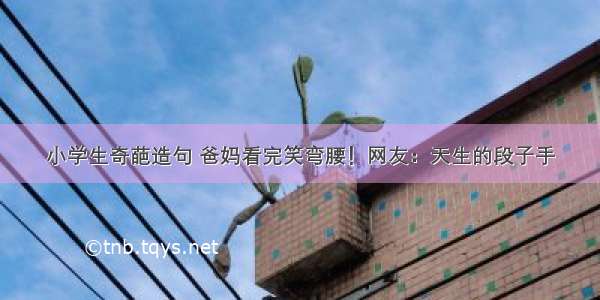 小学生奇葩造句 爸妈看完笑弯腰！网友：天生的段子手