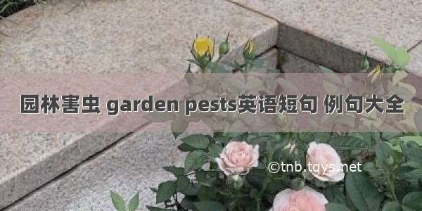 园林害虫 garden pests英语短句 例句大全