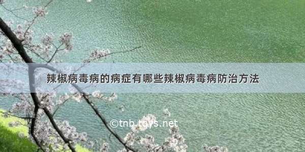 辣椒病毒病的病症有哪些辣椒病毒病防治方法