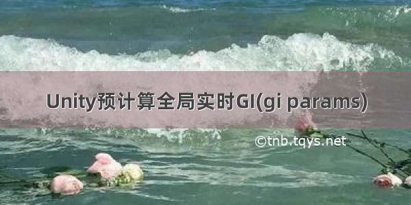 Unity预计算全局实时GI(gi params)