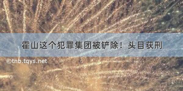 霍山这个犯罪集团被铲除！头目获刑