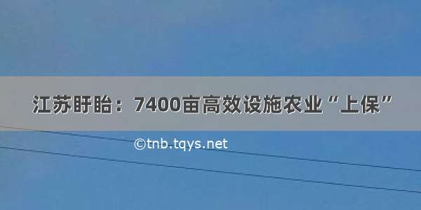 江苏盱眙：7400亩高效设施农业“上保”