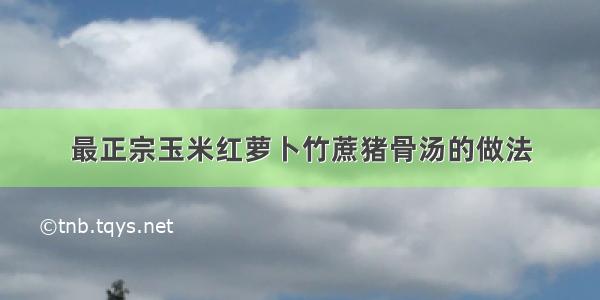 最正宗玉米红萝卜竹蔗猪骨汤的做法