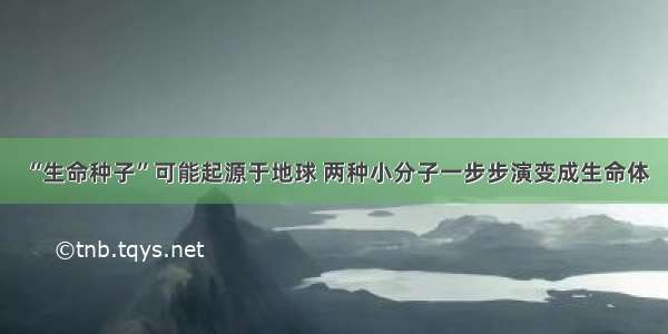 “生命种子”可能起源于地球 两种小分子一步步演变成生命体