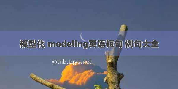 模型化 modeling英语短句 例句大全