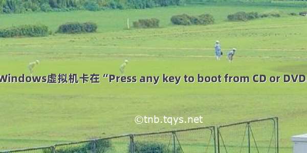 TrueNAS安装Windows虚拟机卡在“Press any key to boot from CD or DVD...”的解决办法