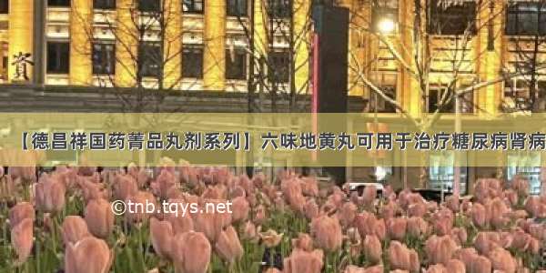 【德昌祥国药菁品丸剂系列】六味地黄丸可用于治疗糖尿病肾病