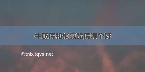 牛筋底和聚氨酯底哪个好