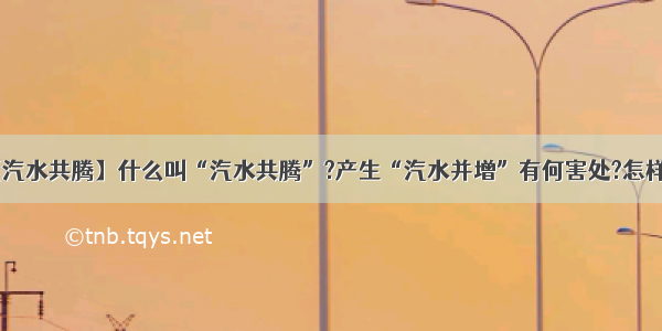 【汽水共腾】什么叫“汽水共腾”?产生“汽水并增”有何害处?怎样...