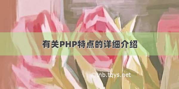 有关PHP特点的详细介绍