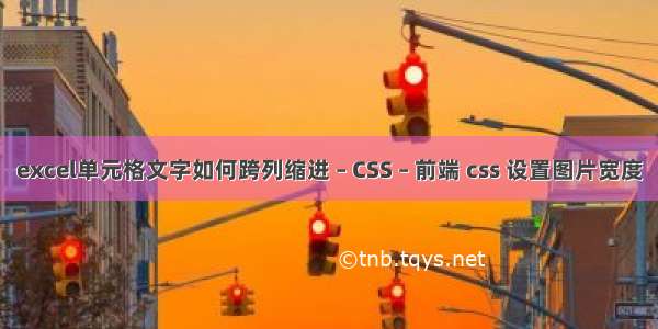 excel单元格文字如何跨列缩进 – CSS – 前端 css 设置图片宽度