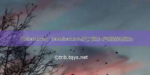 【blindside】theblindside英文简介是剧情的简介