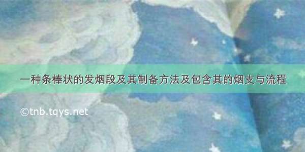 一种条棒状的发烟段及其制备方法及包含其的烟支与流程