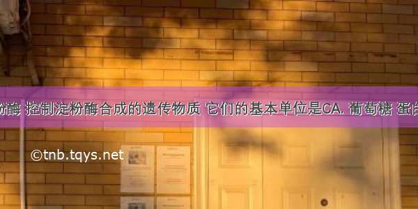 淀粉 淀粉酶 控制淀粉酶合成的遗传物质 它们的基本单位是CA. 葡萄糖 蛋白质 DNA