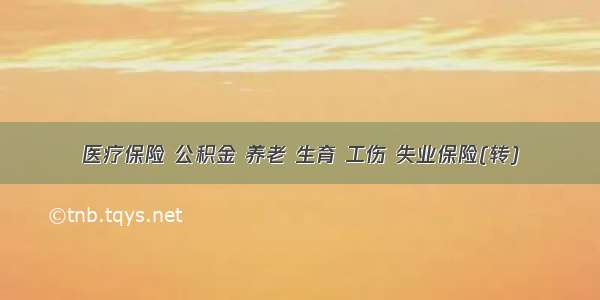 医疗保险 公积金 养老 生育 工伤 失业保险(转)