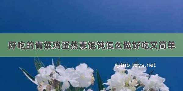 好吃的青菜鸡蛋蒸素馄饨怎么做好吃又简单