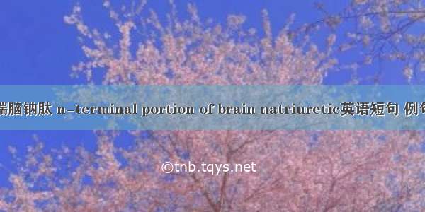 氮末端脑钠肽 n-terminal portion of brain natriuretic英语短句 例句大全