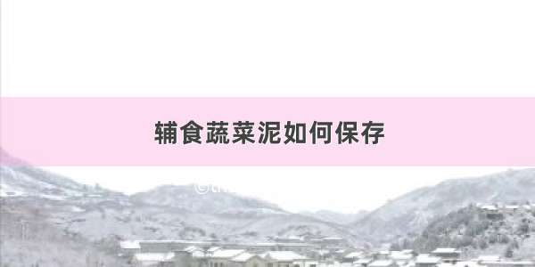 辅食蔬菜泥如何保存