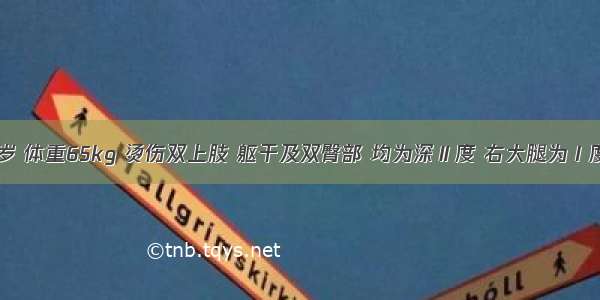 男性 24岁 体重65kg 烫伤双上肢 躯干及双臀部 均为深Ⅱ度 右大腿为Ⅰ度 急诊入