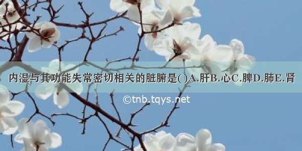 内湿与其功能失常密切相关的脏腑是()A.肝B.心C.脾D.肺E.肾