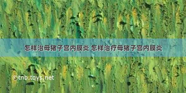 怎样治母猪子宫内膜炎 怎样治疗母猪子宫内膜炎