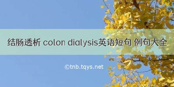 结肠透析 colon dialysis英语短句 例句大全