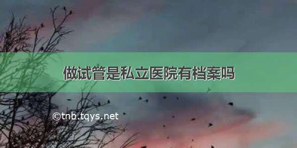 做试管是私立医院有档案吗