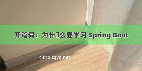 开篇词：为什什么要学习 Spring Boot