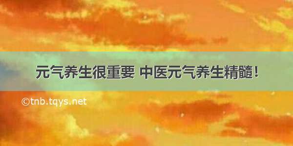 元气养生很重要 中医元气养生精髓！