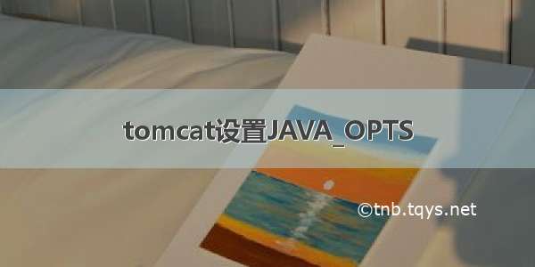 tomcat设置JAVA_OPTS