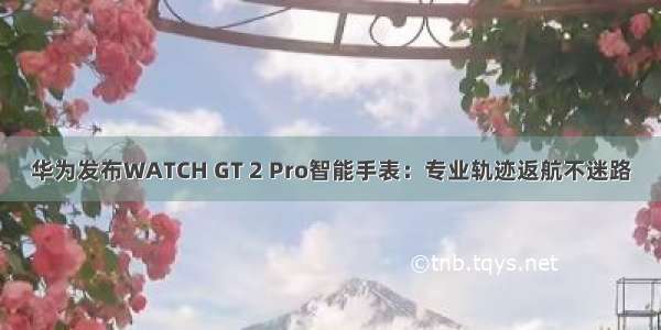 华为发布WATCH GT 2 Pro智能手表：专业轨迹返航不迷路